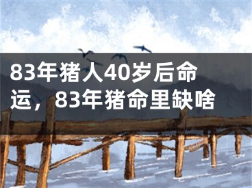 83年猪人40岁后命运，83年猪命里缺啥