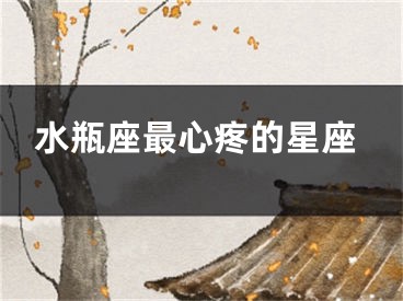 水瓶座最心疼的星座