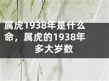 属虎1938年是什么命，属虎的1938年多大岁数