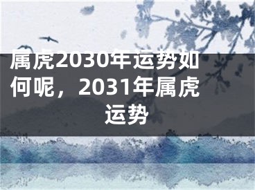 属虎2030年运势如何呢，2031年属虎运势