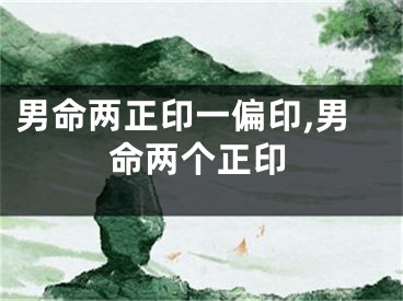 男命两正印一偏印,男命两个正印