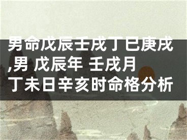 男命戊辰壬戌丁巳庚戌,男 戊辰年 壬戌月丁未日辛亥时命格分析