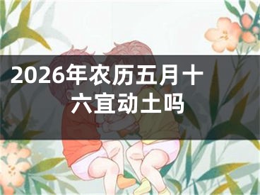 2026年农历五月十六宜动土吗