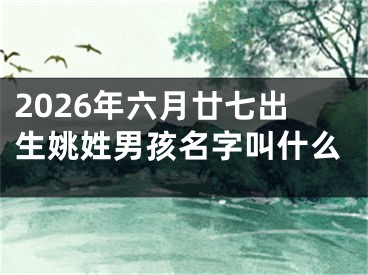 2026年六月廿七出生姚姓男孩名字叫什么