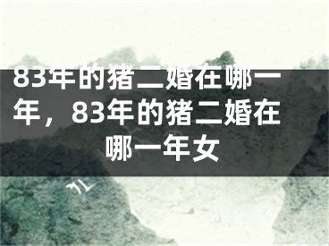 83年的猪二婚在哪一年，83年的猪二婚在哪一年女