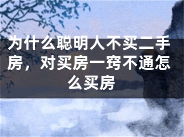 为什么聪明人不买二手房，对买房一窍不通怎么买房