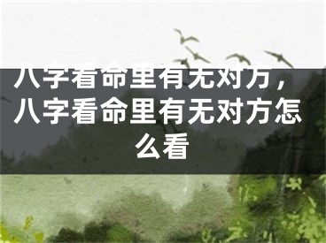 八字看命里有无对方，八字看命里有无对方怎么看