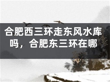 合肥西三环走东风水库吗，合肥东三环在哪