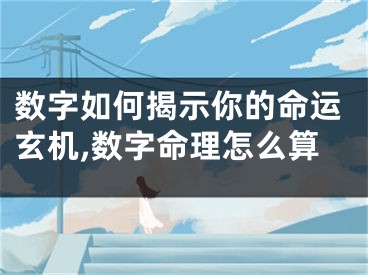 数字如何揭示你的命运玄机,数字命理怎么算