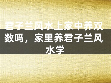 君子兰风水上家中养双数吗，家里养君子兰风水学