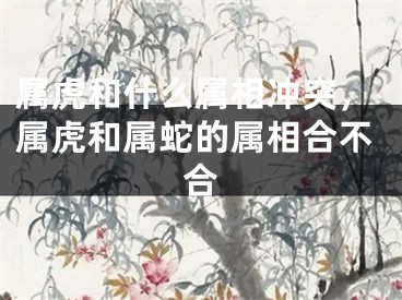 属虎和什么属相冲突，属虎和属蛇的属相合不合