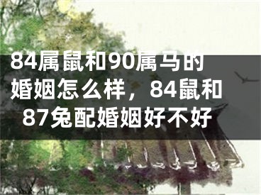 84属鼠和90属马的婚姻怎么样,84鼠和87兔配婚姻好不好