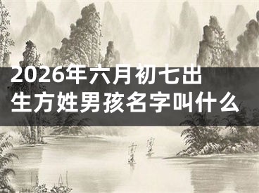 2026年六月初七出生方姓男孩名字叫什么