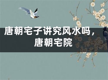 唐朝宅子讲究风水吗，唐朝宅院