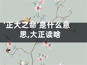 ‘正大之命’是什么意思,大正读啥