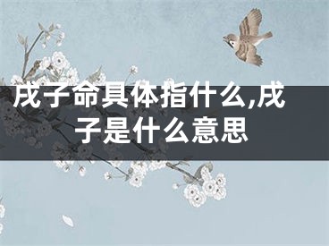 戌子命具体指什么,戌子是什么意思