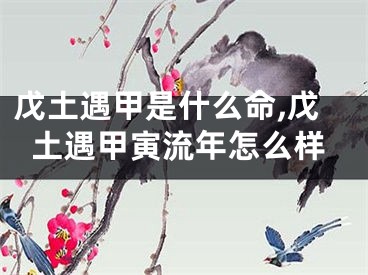 戊土遇甲是什么命,戊土遇甲寅流年怎么样