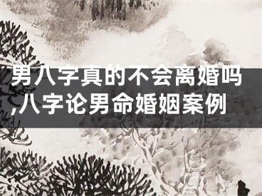 男八字真的不会离婚吗,八字论男命婚姻案例