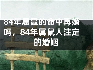 84年属鼠的命中再婚吗，84年属鼠人注定的婚姻