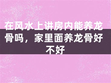 在风水上讲房内能养龙骨吗，家里面养龙骨好不好