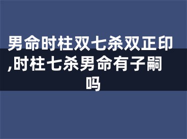 男命时柱双七杀双正印,时柱七杀男命有子嗣吗