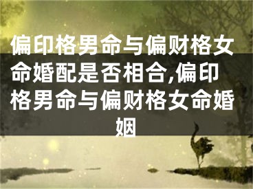 偏印格男命与偏财格女命婚配是否相合,偏印格男命与偏财格女命婚姻