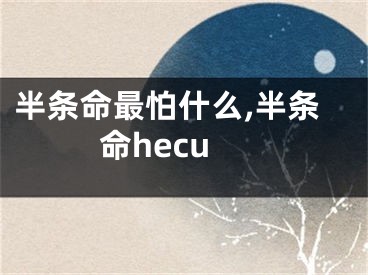 半条命最怕什么,半条命hecu