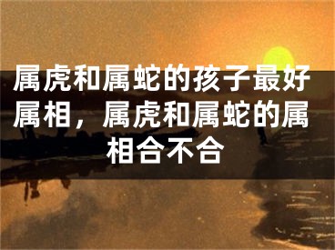 属虎和属蛇的孩子最好属相，属虎和属蛇的属相合不合