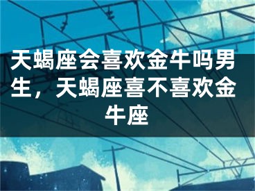 天蝎座会喜欢金牛吗男生，天蝎座喜不喜欢金牛座