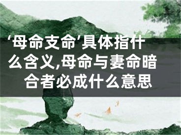 ‘母命支命’具体指什么含义,母命与妻命暗合者必成什么意思