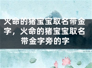 火命的猪宝宝取名带金字，火命的猪宝宝取名带金字旁的字