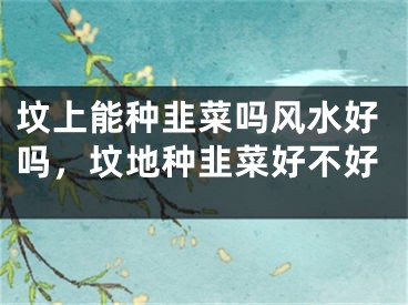 坟上能种韭菜吗风水好吗，坟地种韭菜好不好