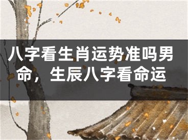八字看生肖运势准吗男命,生辰八字看命运