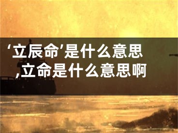 ‘立辰命’是什么意思,立命是什么意思啊