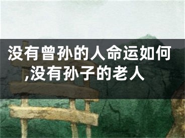 没有曾孙的人命运如何,没有孙子的老人