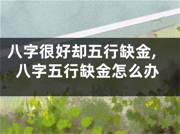 八字很好却五行缺金,八字五行缺金怎么办