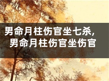 男命月柱伤官坐七杀,男命月柱伤官坐伤官