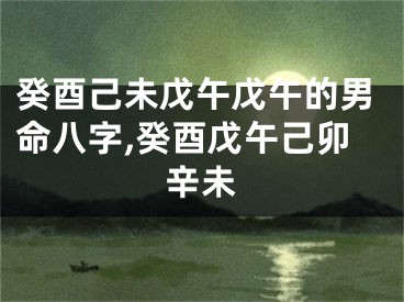 癸酉己未戊午戊午的男命八字,癸酉戊午己卯辛未