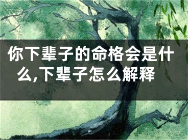 你下辈子的命格会是什么,下辈子怎么解释