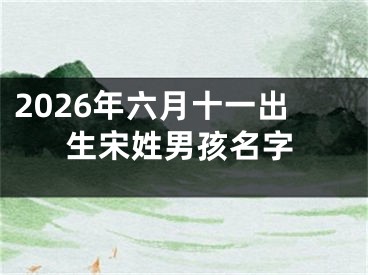 2026年六月十一出生宋姓男孩名字