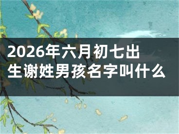 2026年六月初七出生谢姓男孩名字叫什么