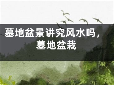 墓地盆景讲究风水吗，墓地盆栽