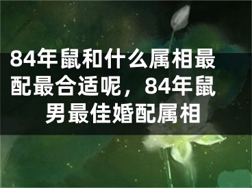 84年鼠和什么属相最配最合适呢，84年鼠男最佳婚配属相