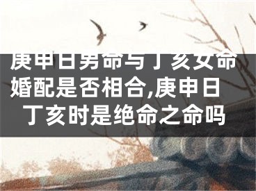 庚申日男命与丁亥女命婚配是否相合,庚申日丁亥时是绝命之命吗