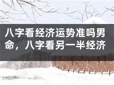 八字看经济运势准吗男命，八字看另一半经济