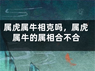 属虎属牛相克吗，属虎属牛的属相合不合