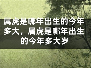 属虎是哪年出生的今年多大，属虎是哪年出生的今年多大岁