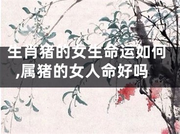 生肖猪的女生命运如何,属猪的女人命好吗
