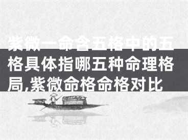 紫微一命含五格中的五格具体指哪五种命理格局,紫微命格命格对比
