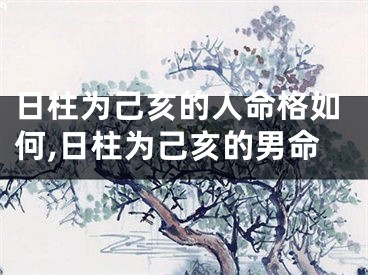 日柱为己亥的人命格如何,日柱为己亥的男命
